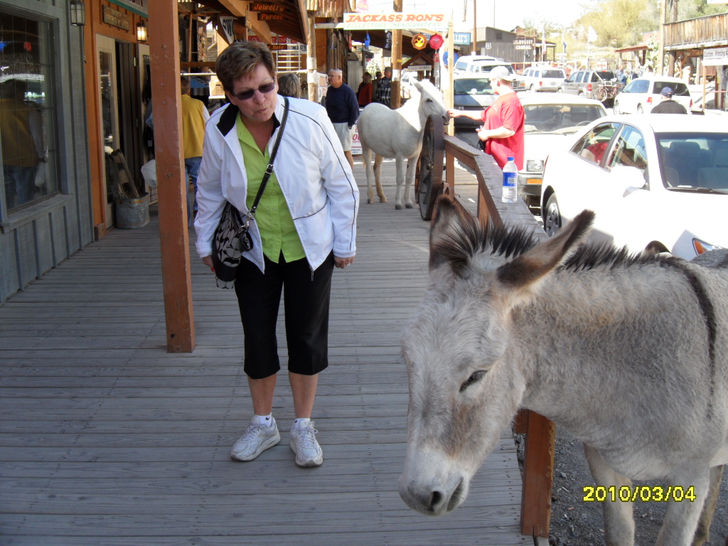 Oatman, Arizona on Route 66
